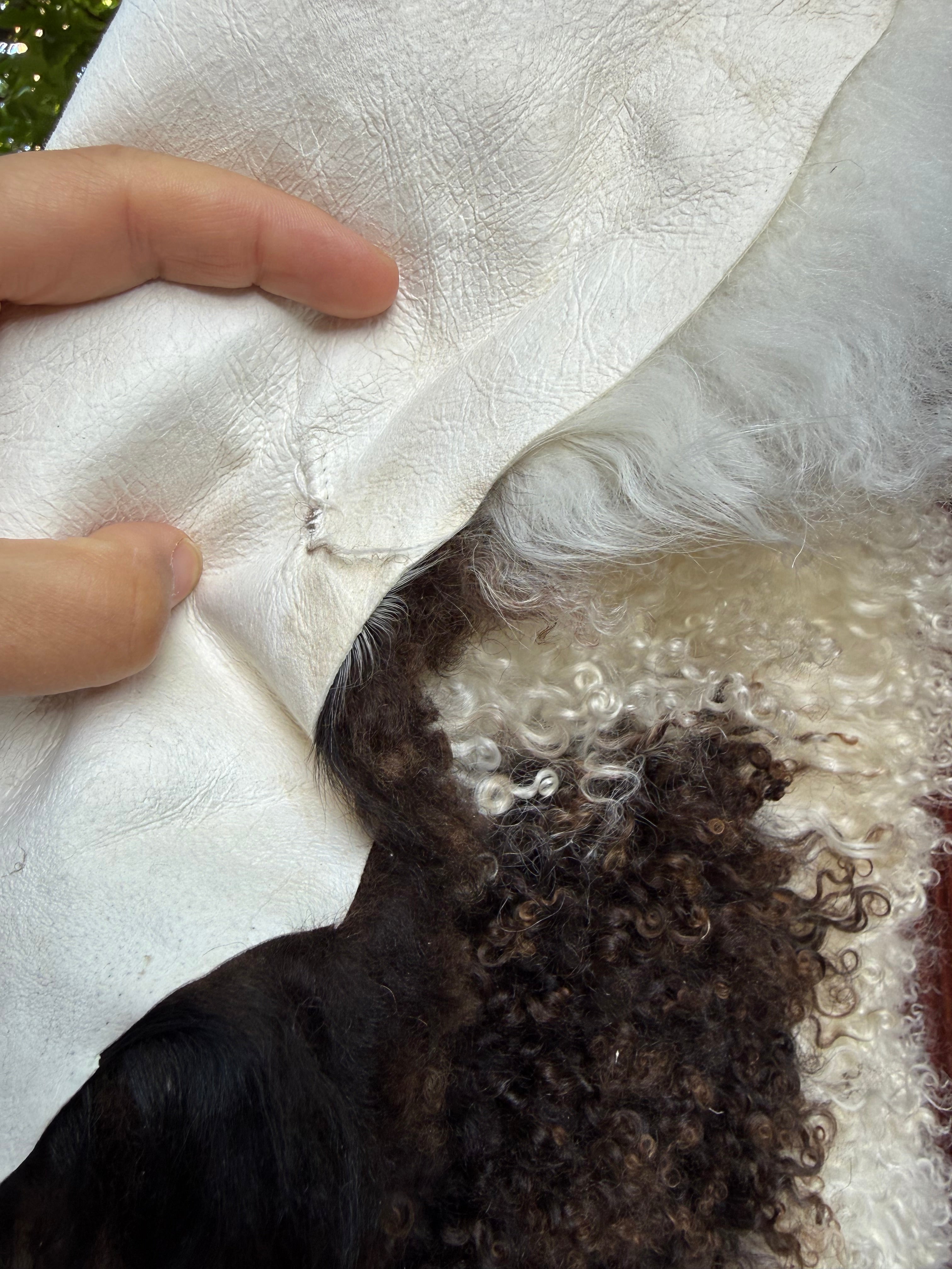 Speckled Dark Brown on White Curly Wool Sheepskin N912 - 38"
