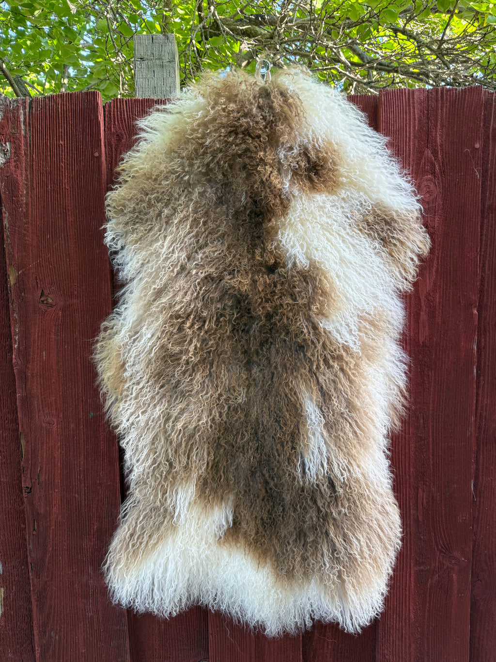 Natural Curly Wool Sheepskin Rug N910 - 38”