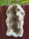 Natural Curly Wool Sheepskin Rug N910 - 38”