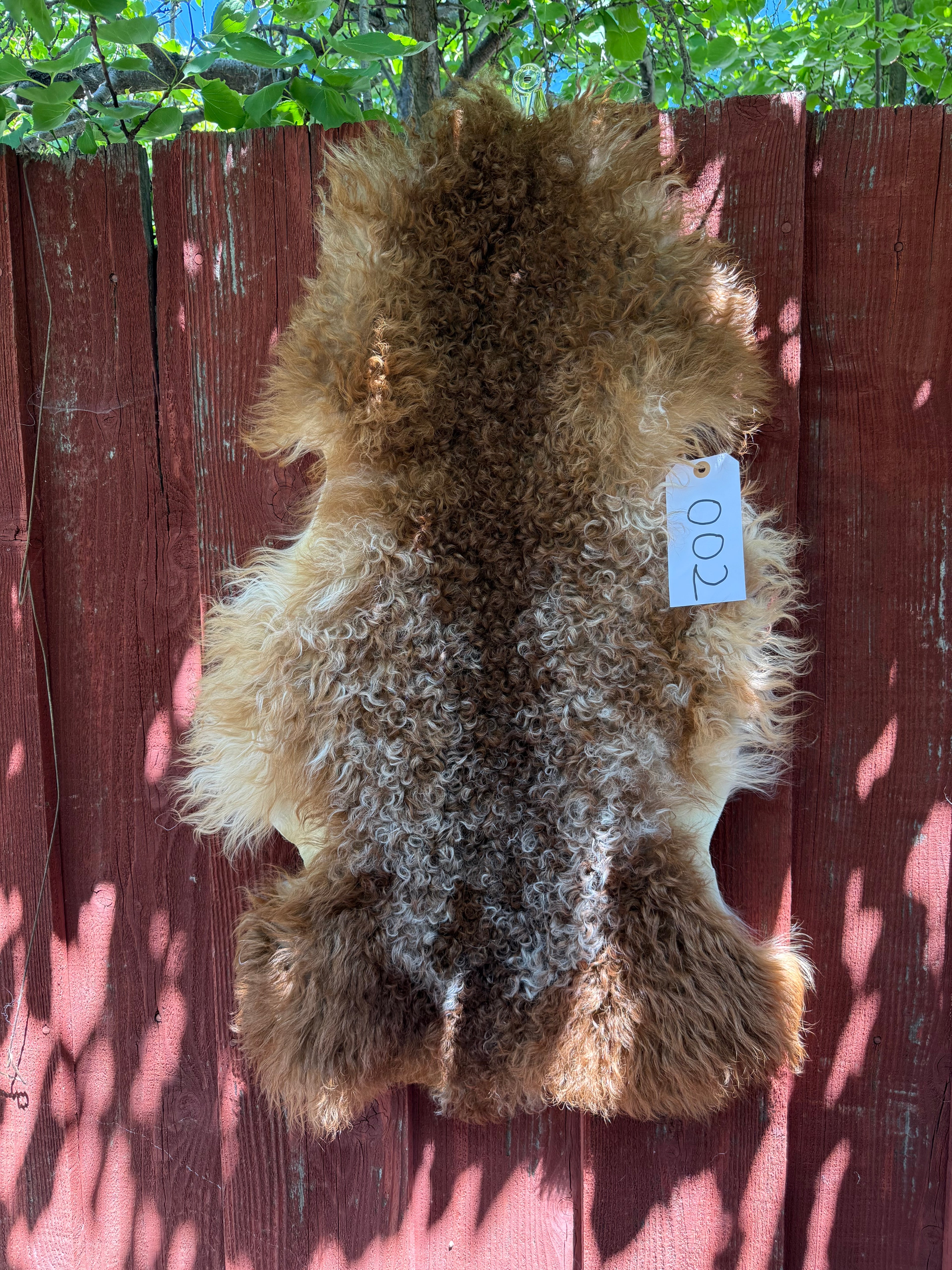 Light Weight Curly Wool Sheepskin Rug N002 - 35