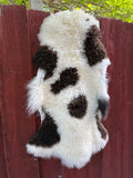 Speckled Dark Brown on White Curly Wool Sheepskin N912 - 38"