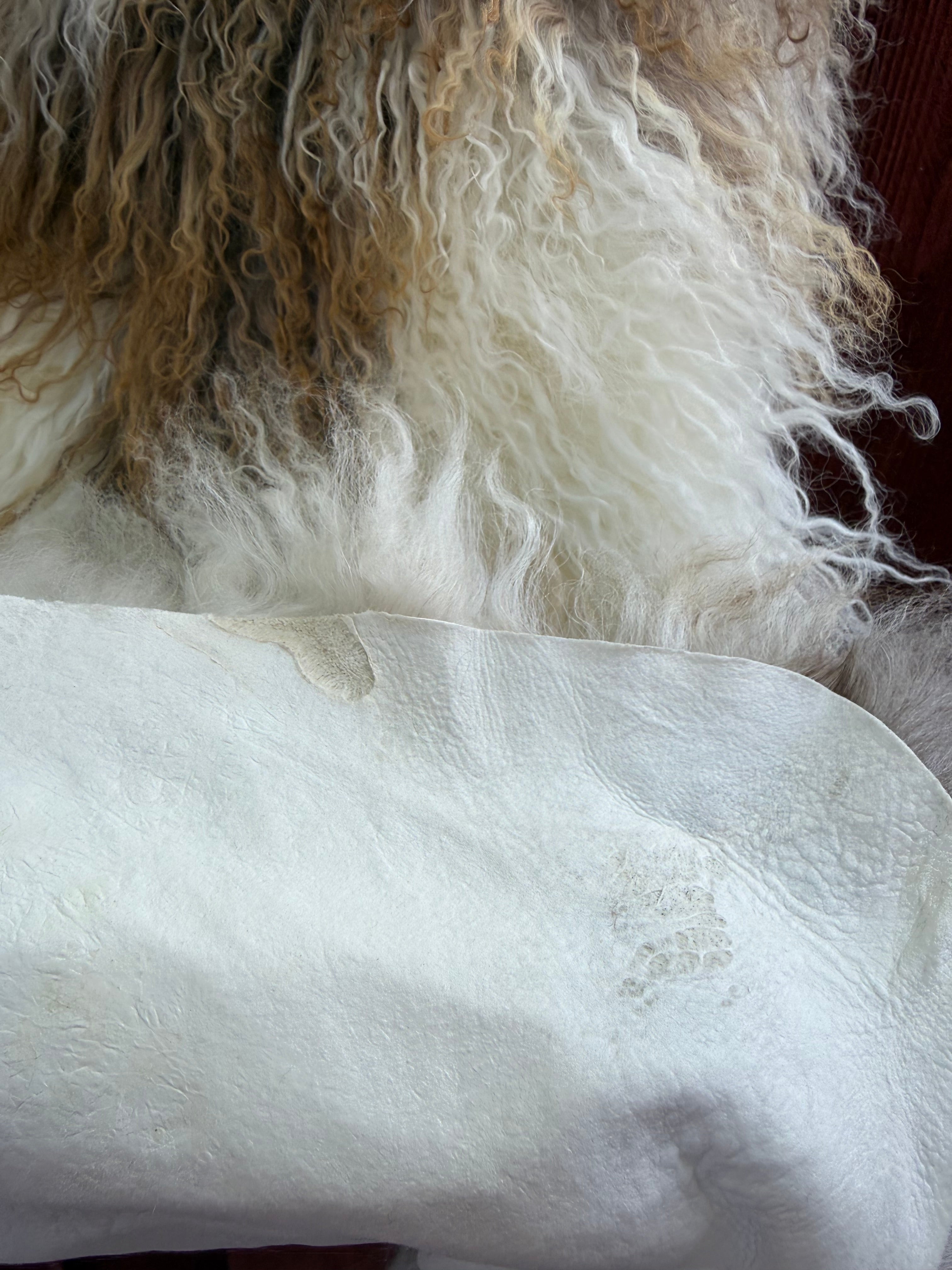 Extra Long Wool Sheepskin N916 - 42" Dual-Tone Light Brown Tips