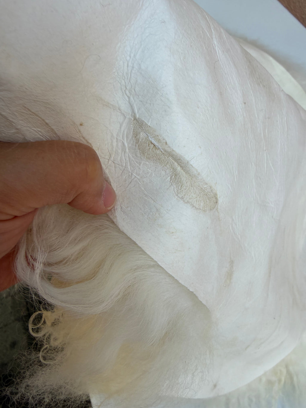 Extra Long Wool Sheepskin N914 - 41" Natural White with Single Brown Patch