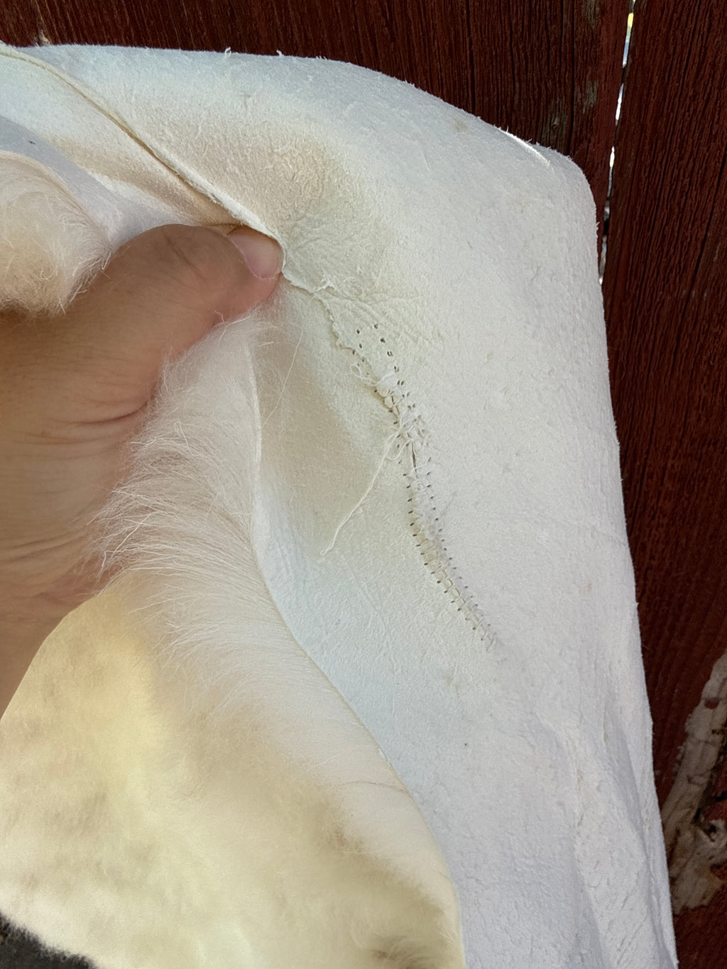 XXL Genuine Sheepskin Rug N884 - 55"