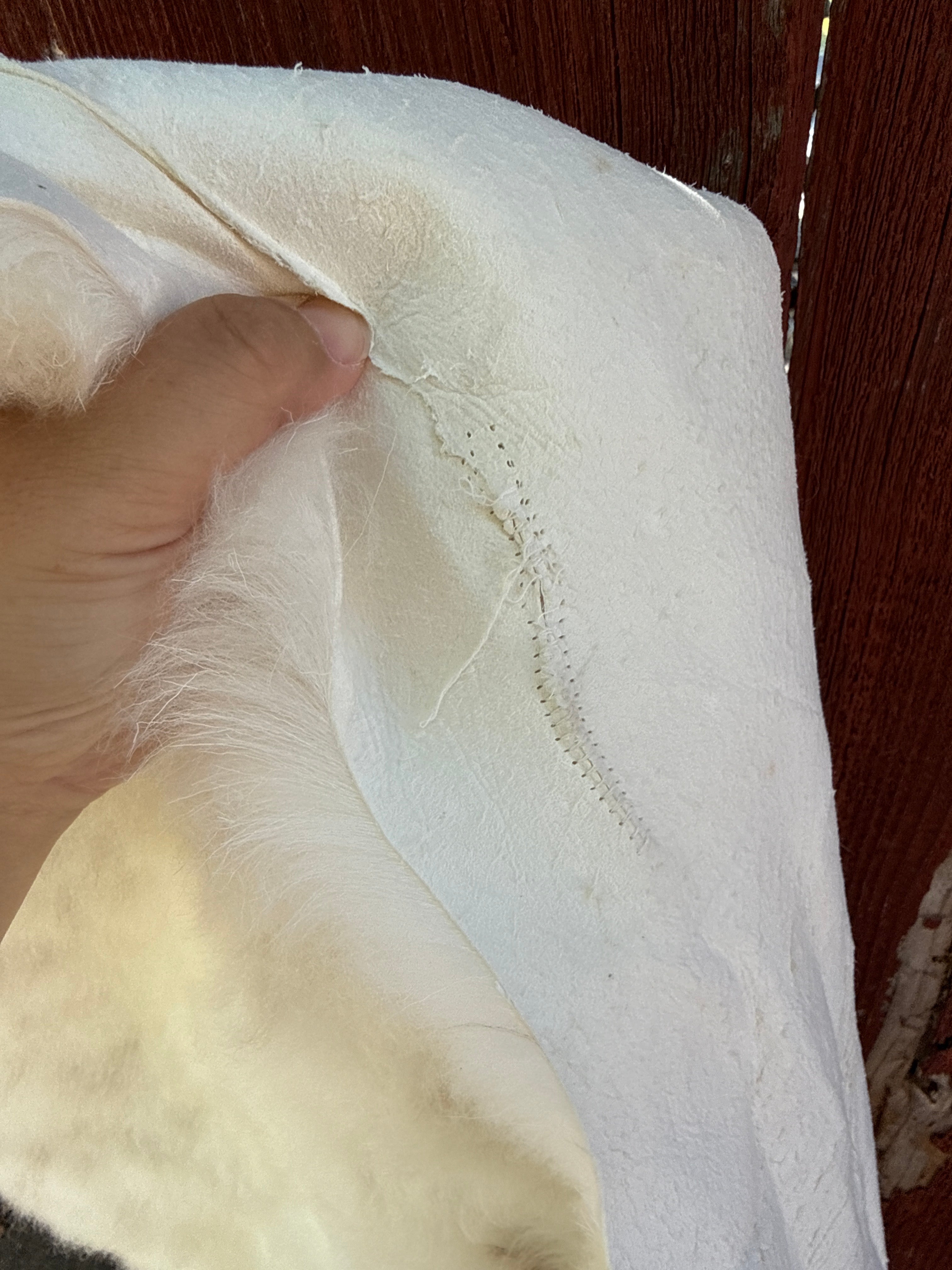 XXL Genuine Sheepskin Rug N884 - 55"