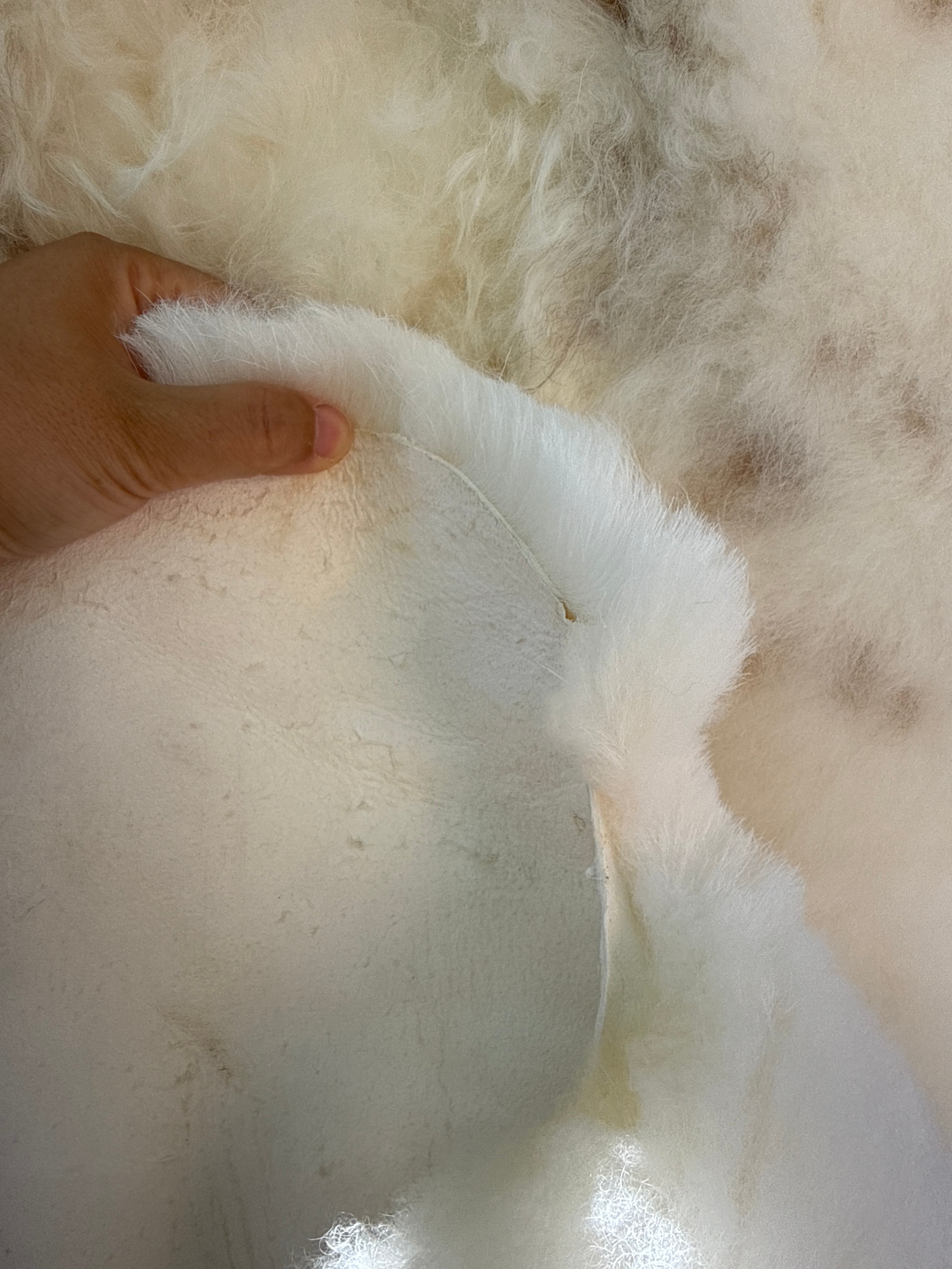 XXL Genuine Sheepskin Rug N884 - 55"