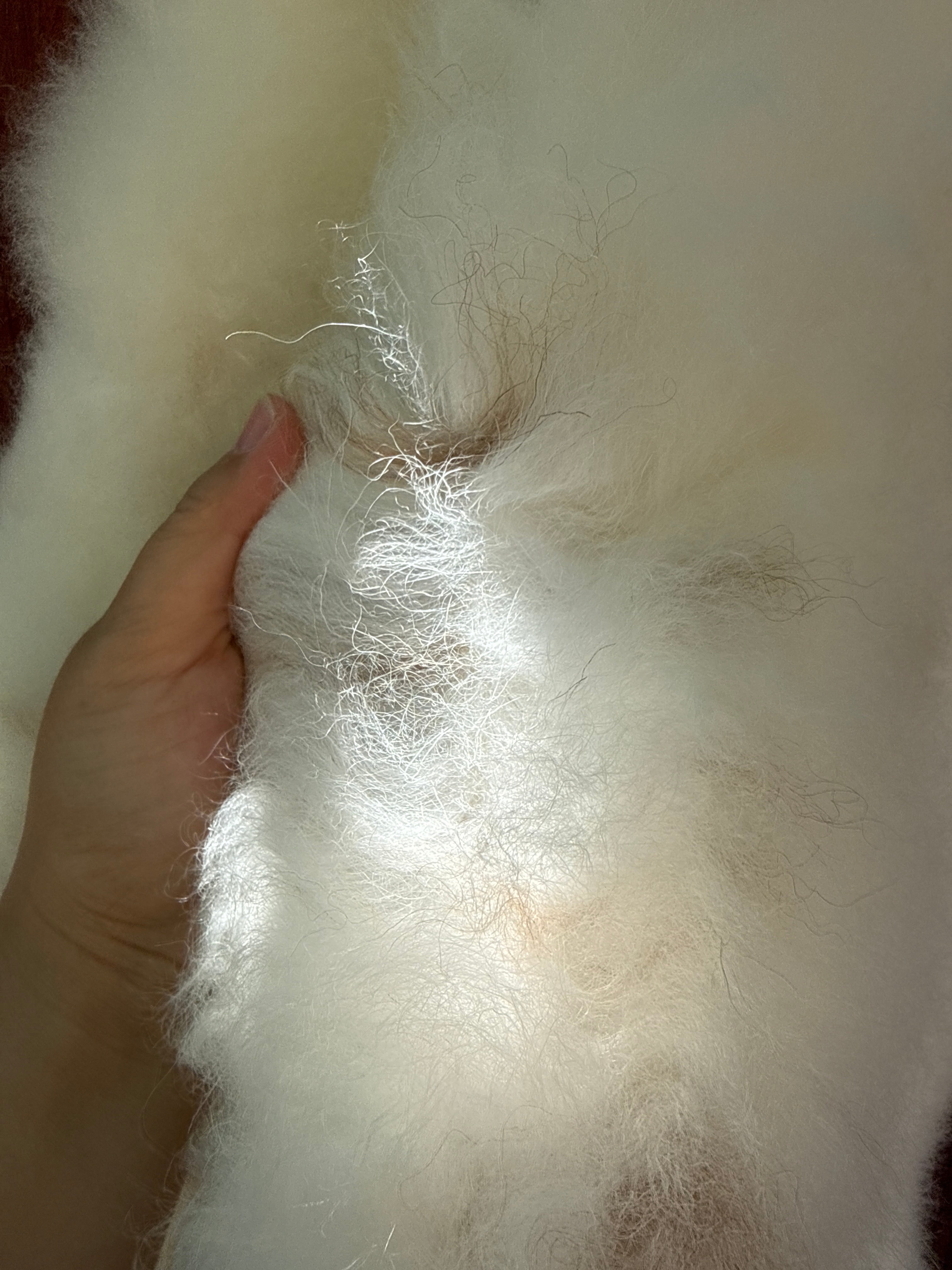 XXL Genuine Sheepskin Rug N884 - 55"