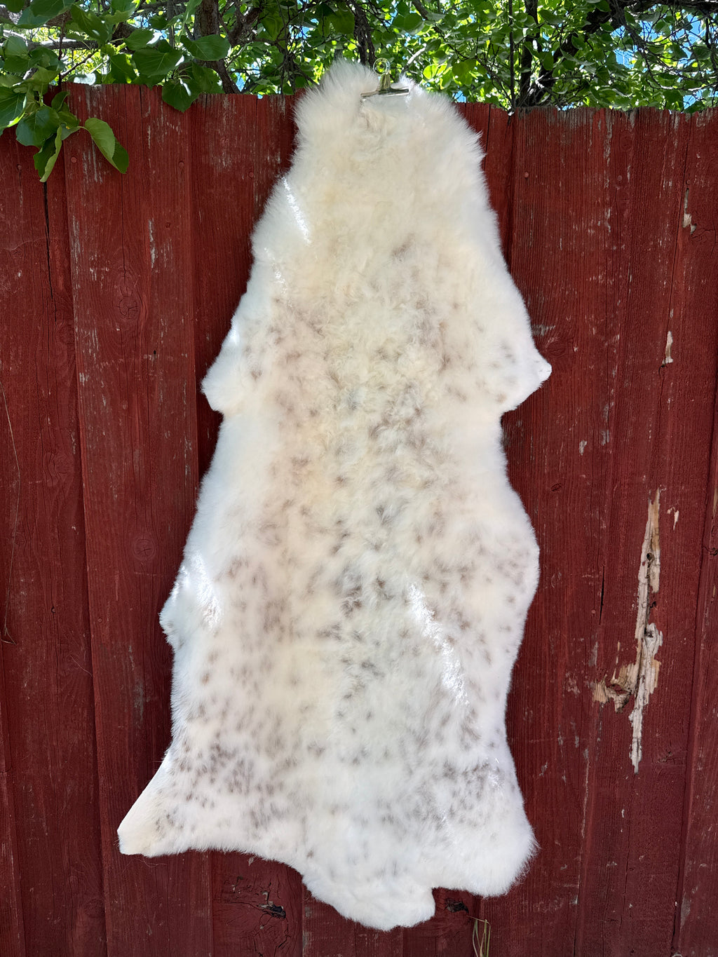XXL Genuine Sheepskin Rug N884 - 55"