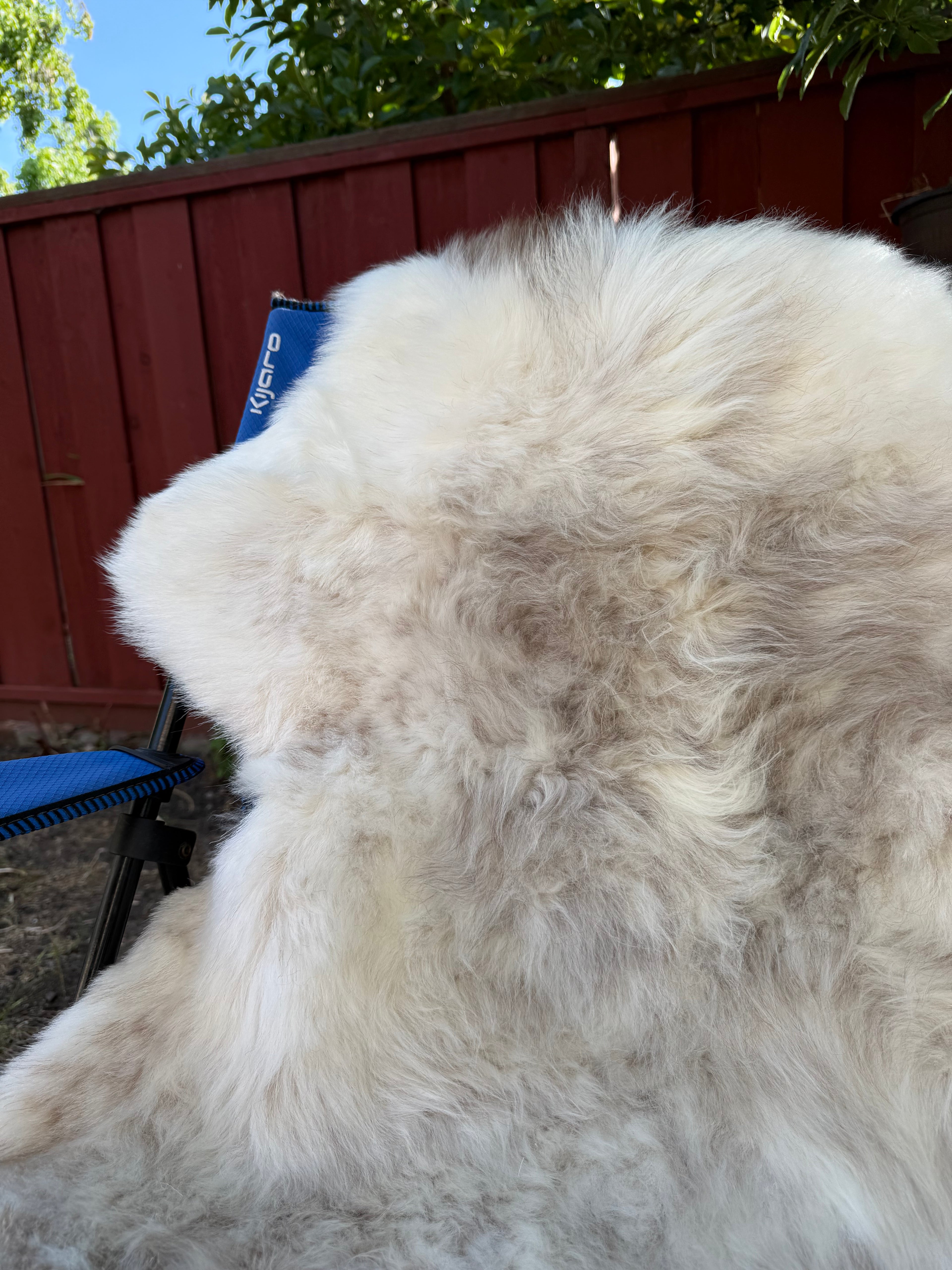 Leader Ram Sheepskin N015 - 56" Mixed Natural White and Brown