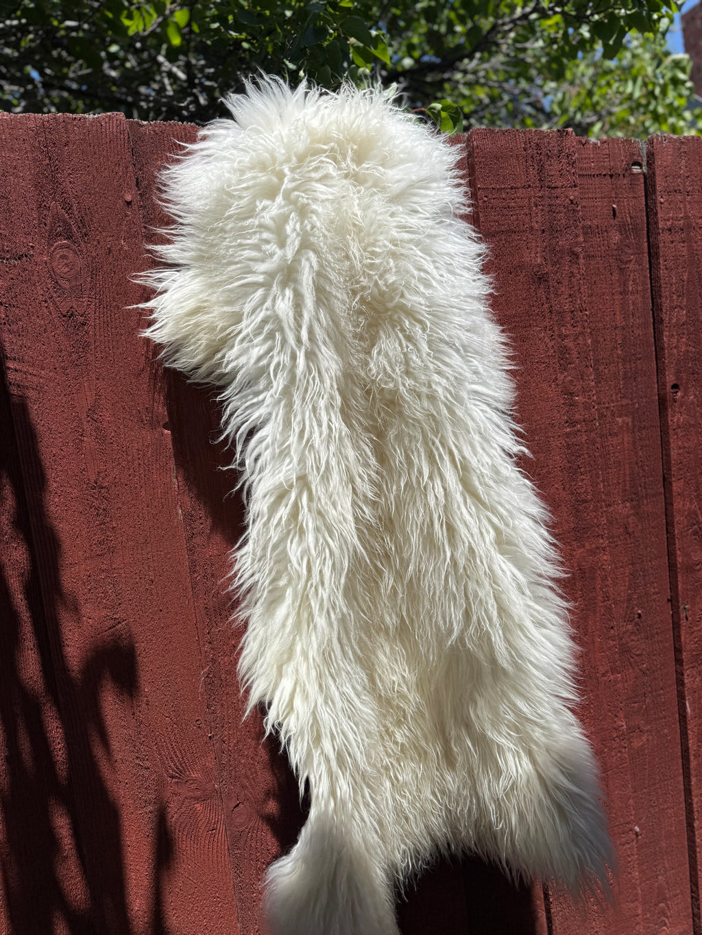 Fluffy Long Wool Genuine Sheepskin Rug N577 - 43"