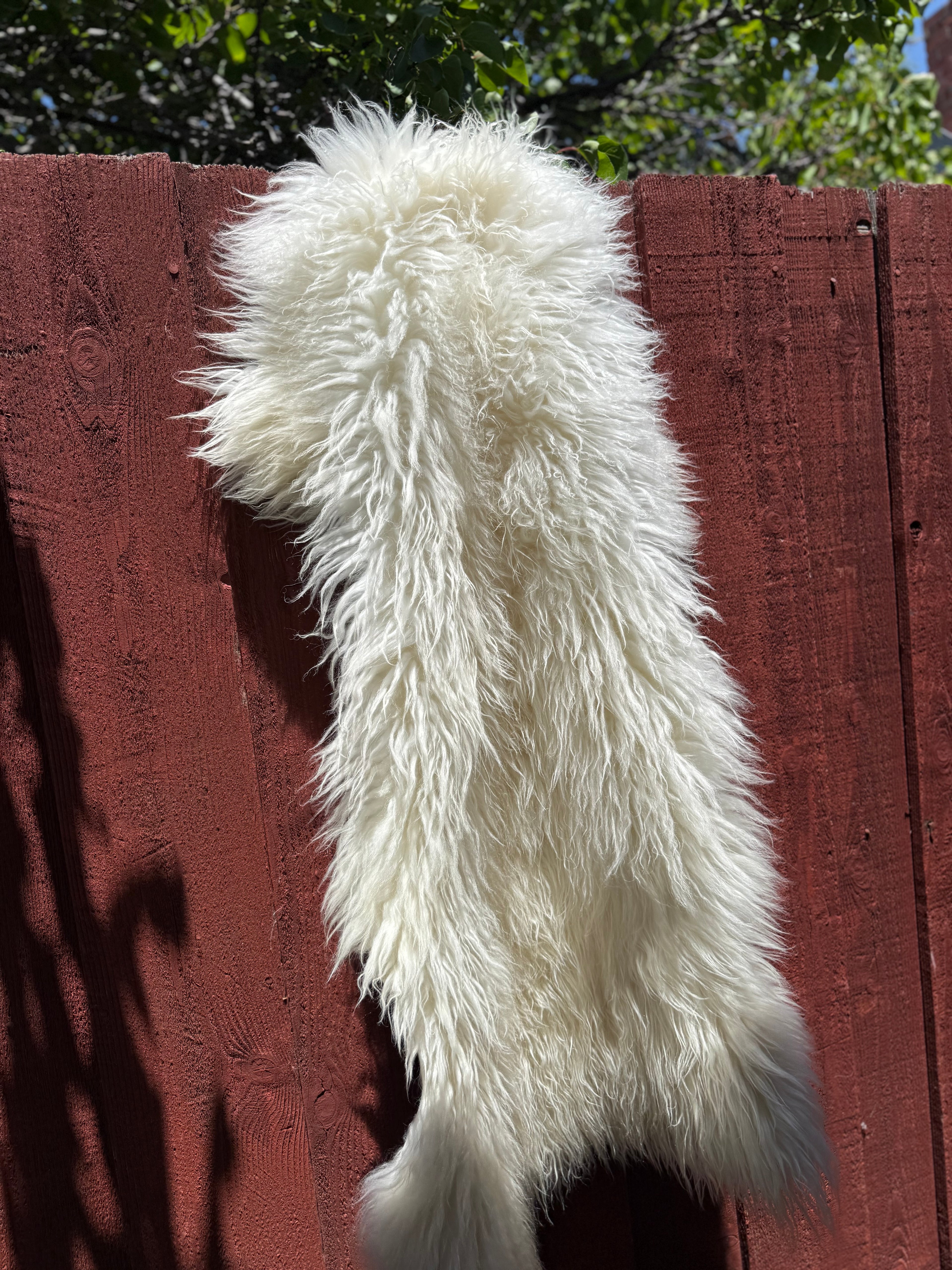 Fluffy Long Wool Genuine Sheepskin Rug N577 - 43"