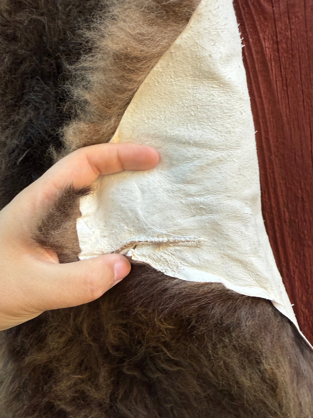 Deep Brown with White Tail Medium Wool Sheepskin N091 - 52" Alpha Sheep
