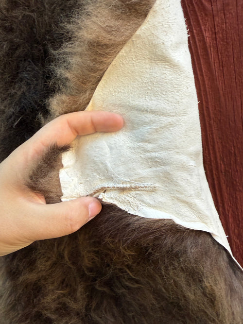 Deep Brown with White Tail Medium Wool Sheepskin N091 - 52" Alpha Sheep