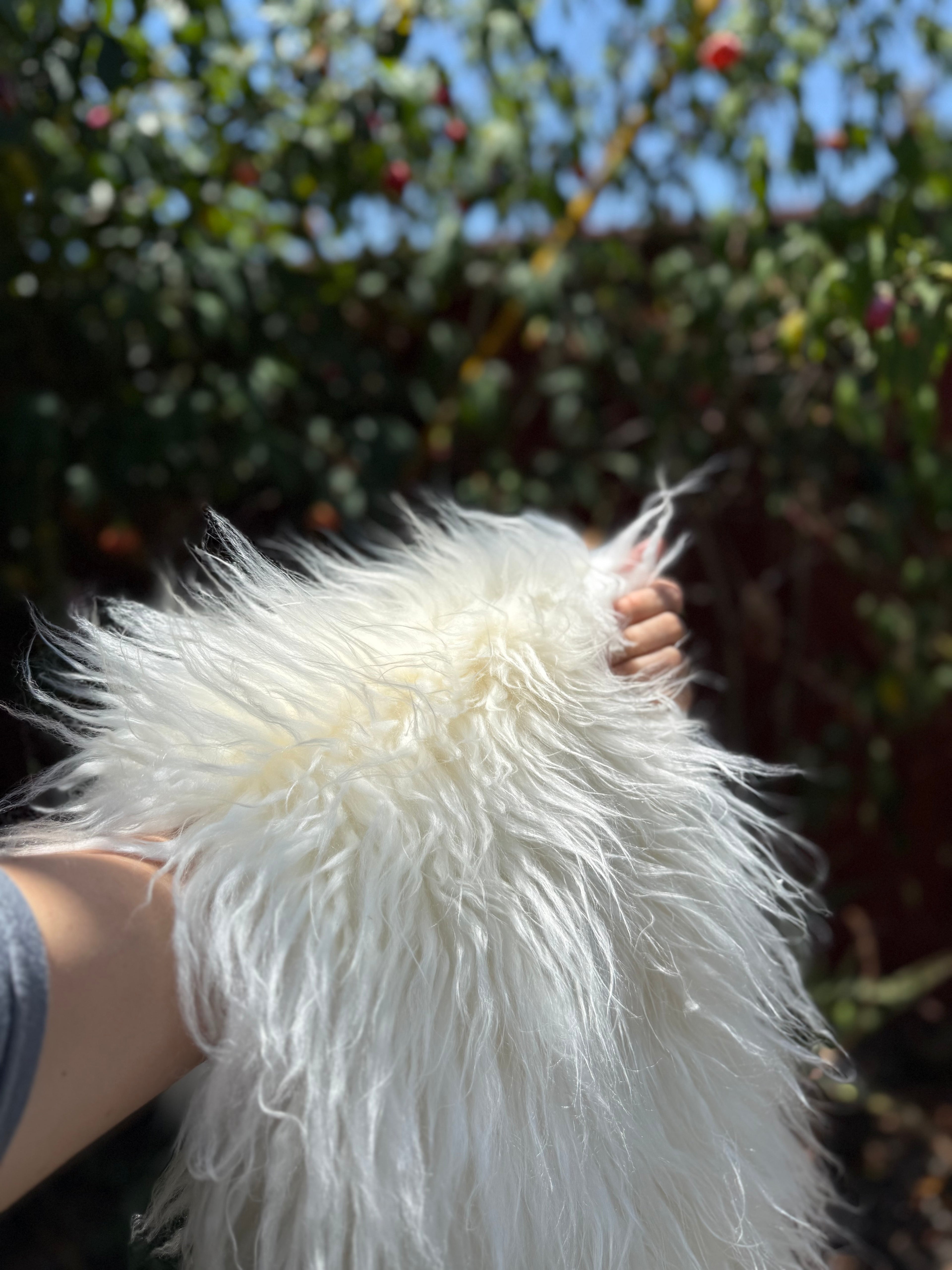 Fluffy Long Wool Genuine Sheepskin Rug N577 - 43"