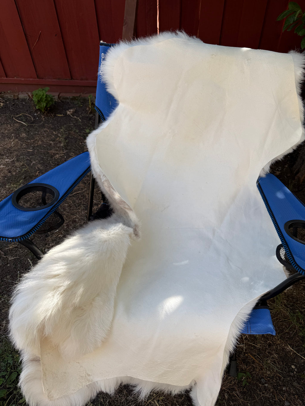 Leader Ram Sheepskin N015 - 56" Mixed Natural White and Brown