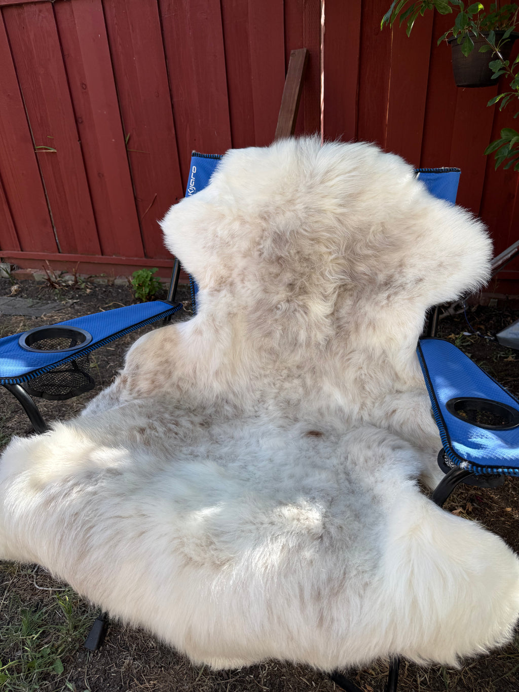 Leader Ram Sheepskin N015 - 56" Mixed Natural White and Brown