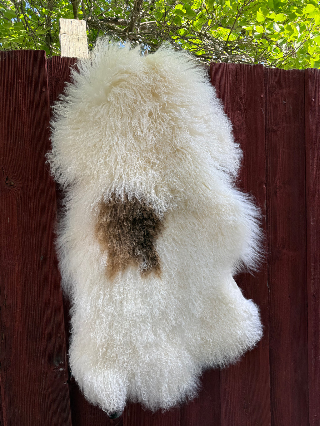 Extra Long Wool Sheepskin N914 - 41" Natural White with Single Brown Patch