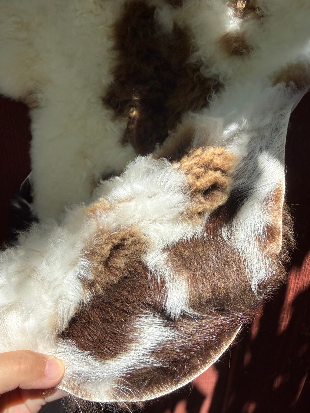 Short Wool Sheepskin N067 - 47" Natural White with Brown