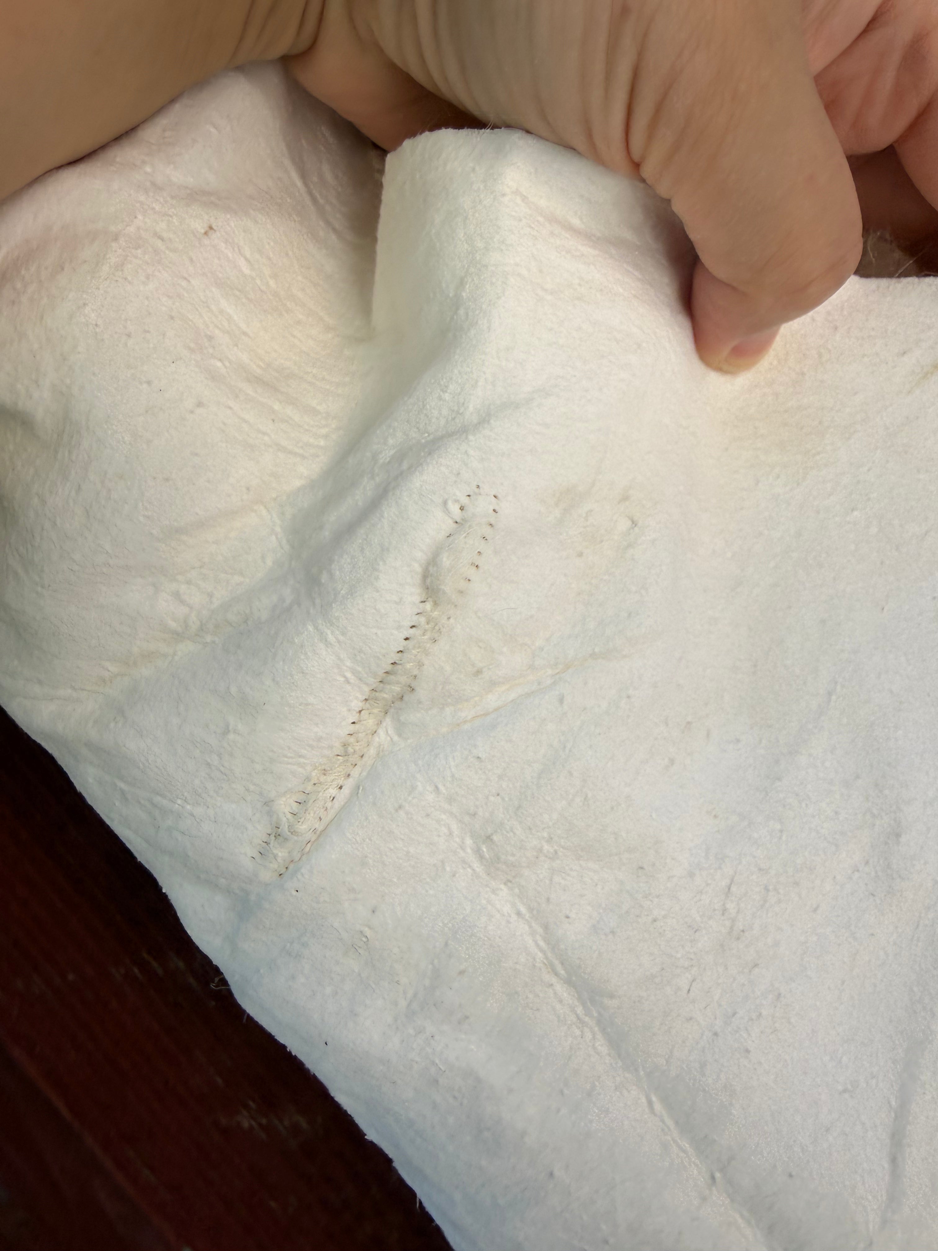 Creamy White Curly Wool Sheepskin N030 - 50"