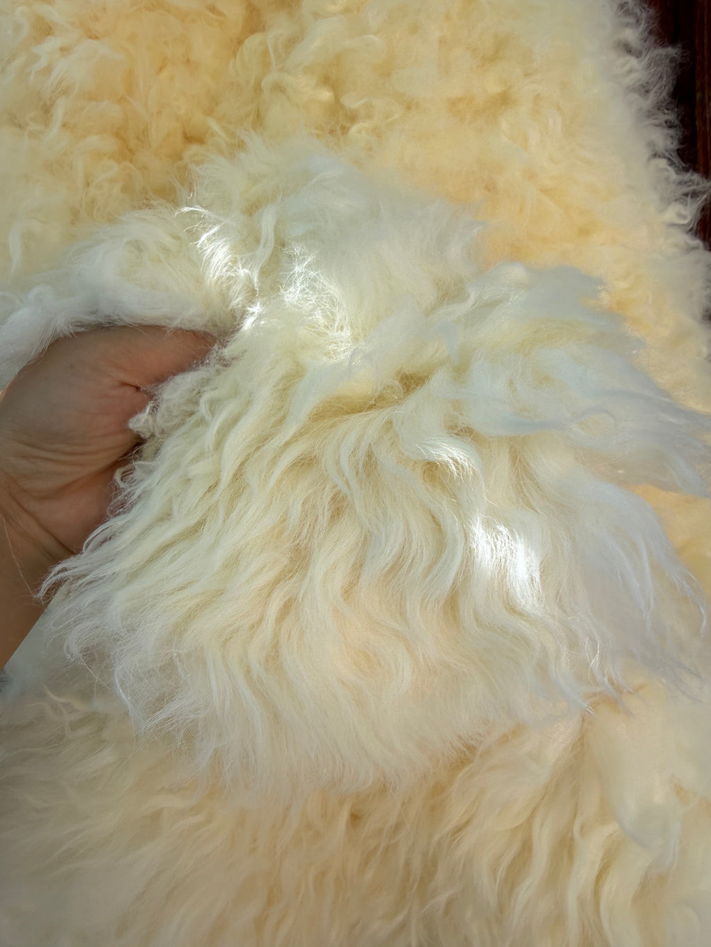 Creamy White Curly Wool Sheepskin N030 - 50"