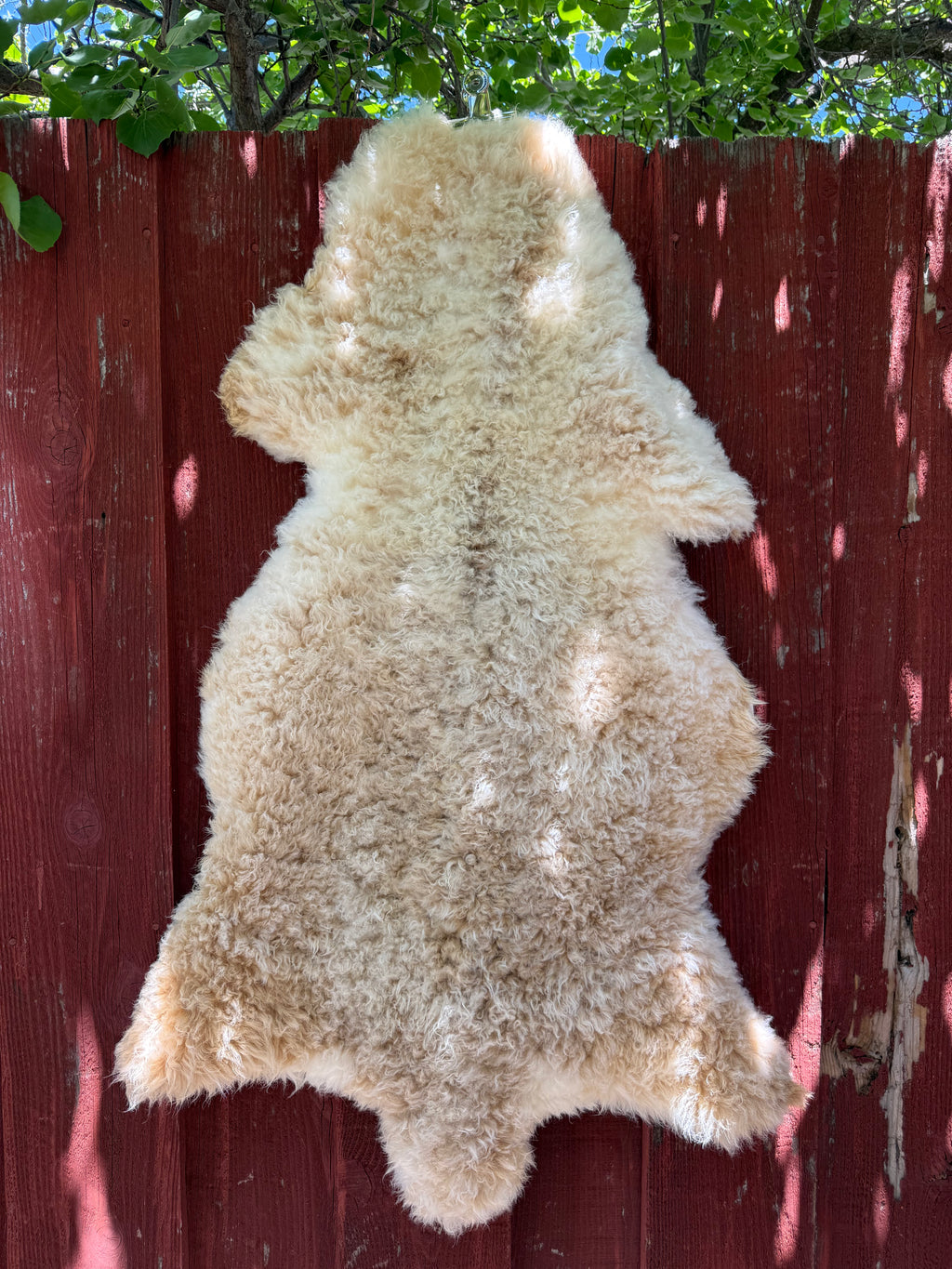 Short Curly Wool Genuine Sheepskin Rug N031 - 46"