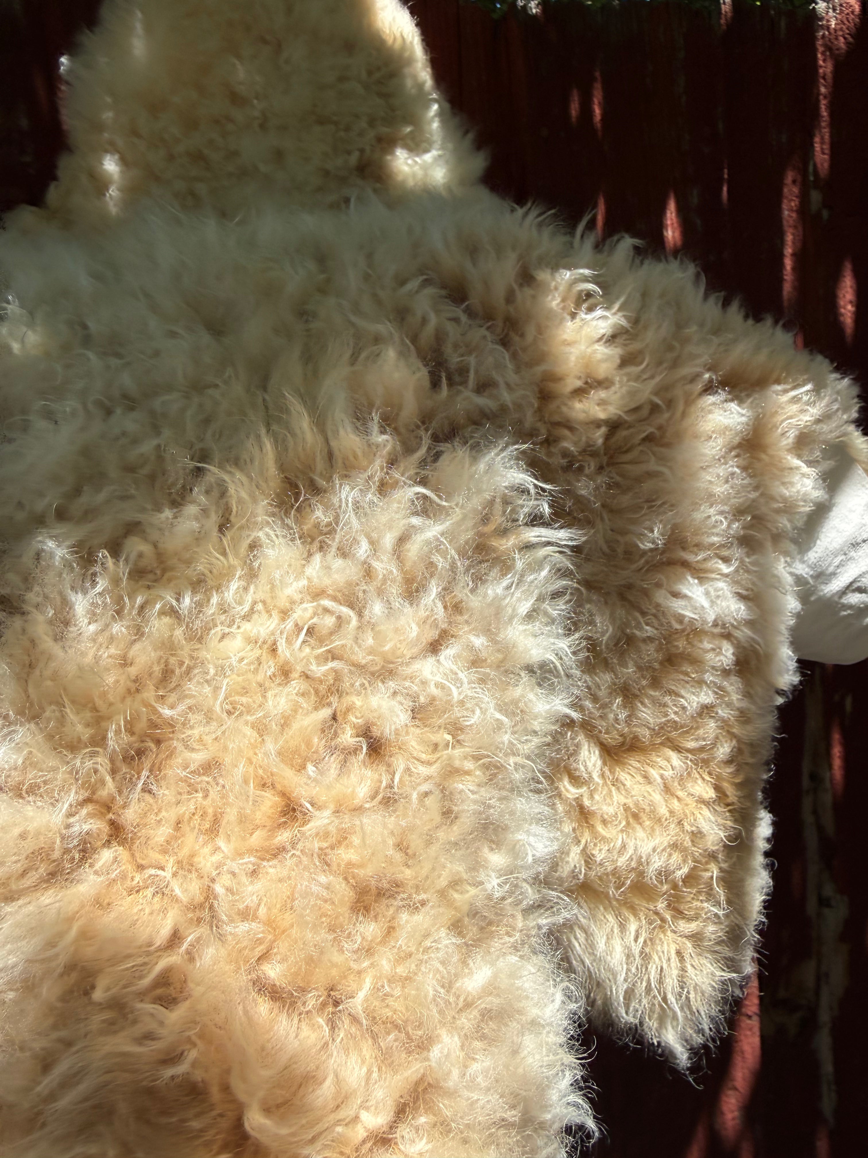 Short Curly Wool Genuine Sheepskin Rug N031 - 46"