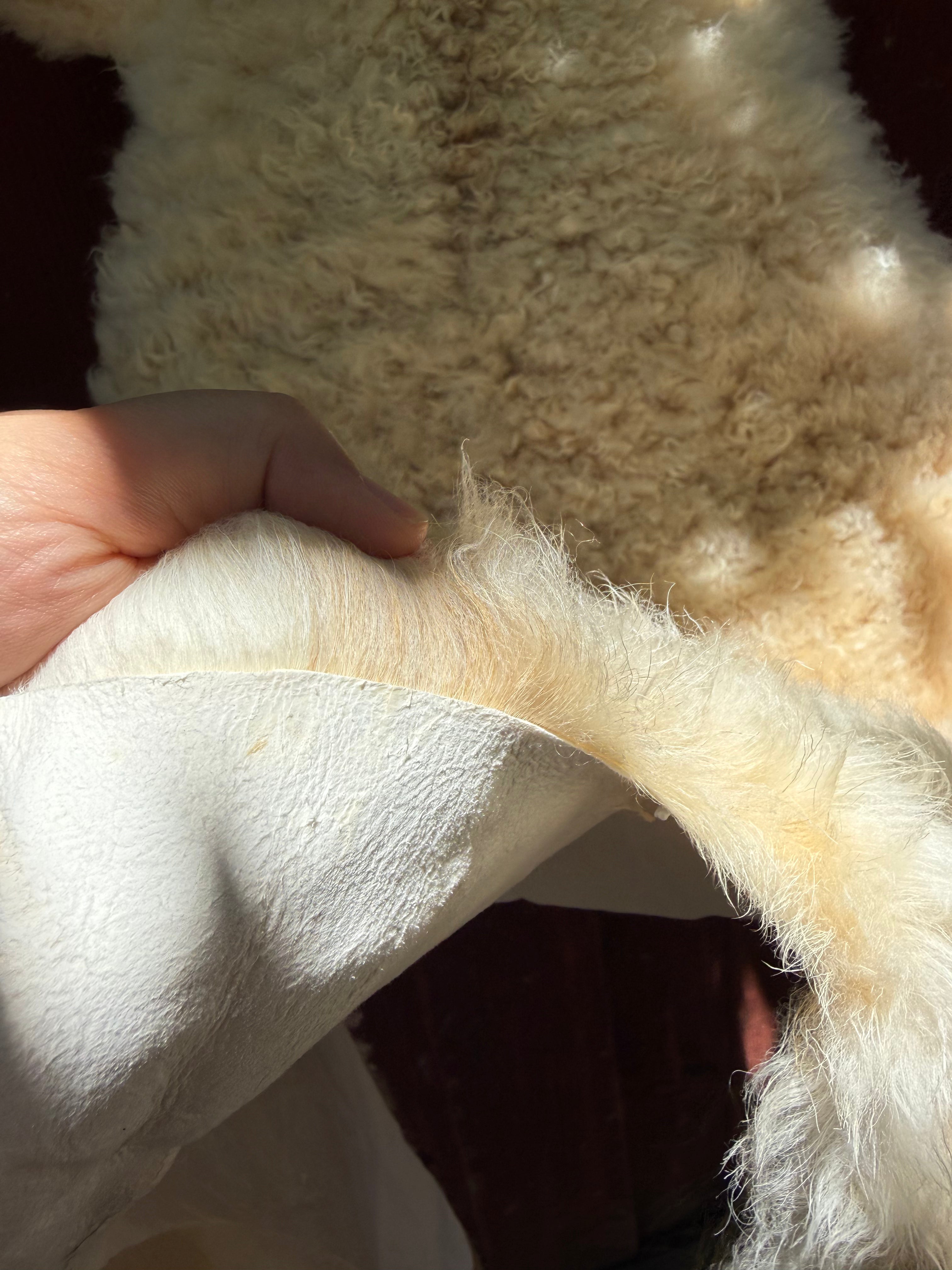 Short Curly Wool Genuine Sheepskin Rug N031 - 46"