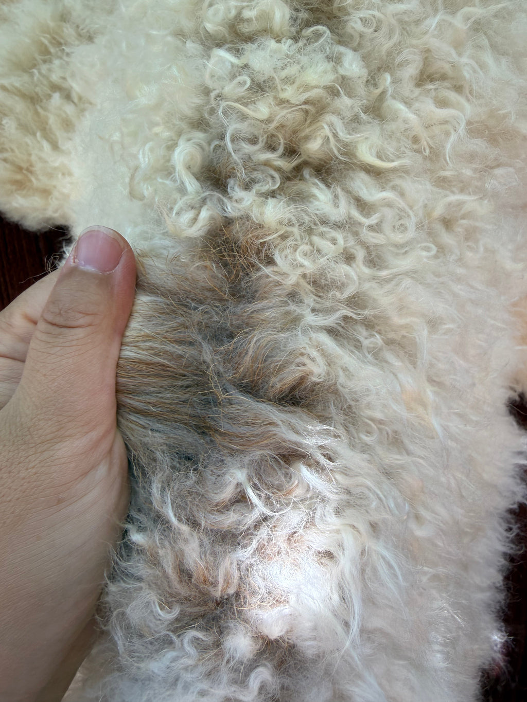 Short Curly Wool Genuine Sheepskin Rug N031 - 46"