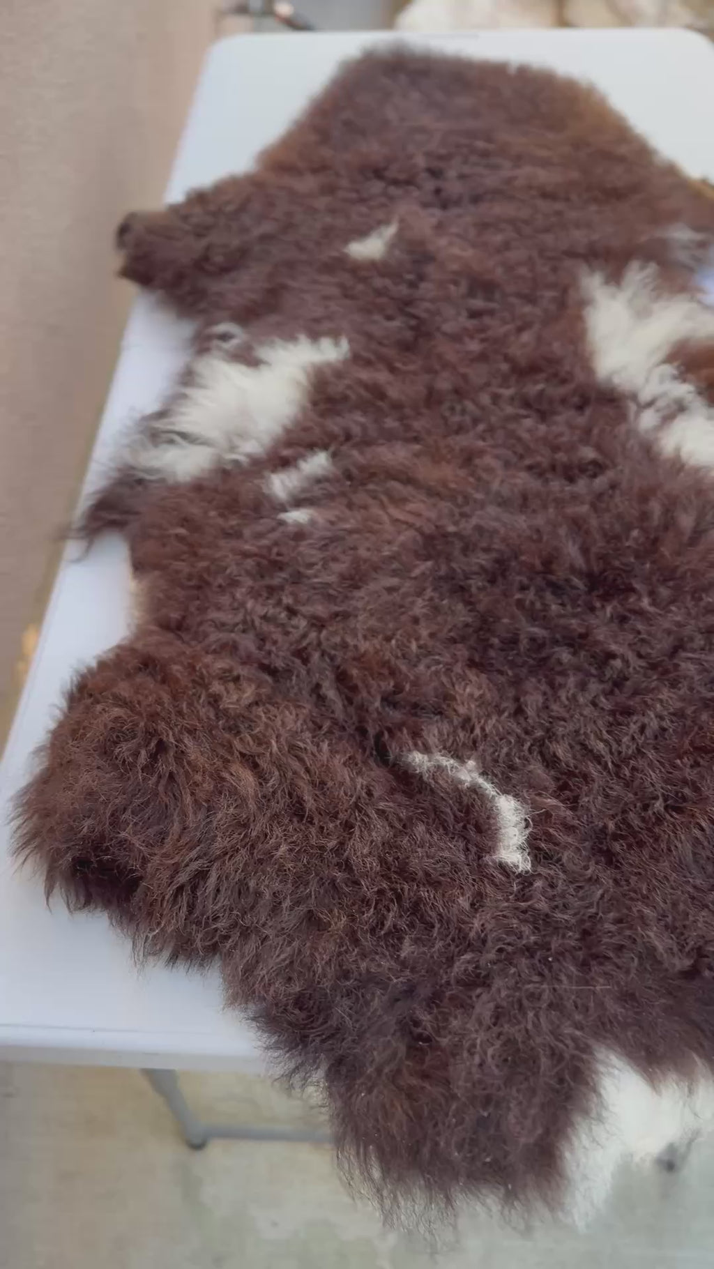 Genuine Sheepskin Rug - Long Wool Brown/White 40 in (#022)