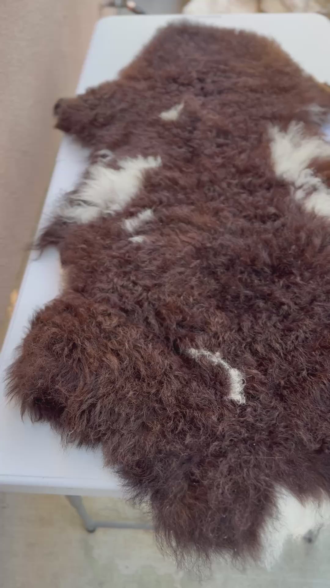 Genuine Sheepskin Rug - Long Wool Brown/White 40 in (#022)