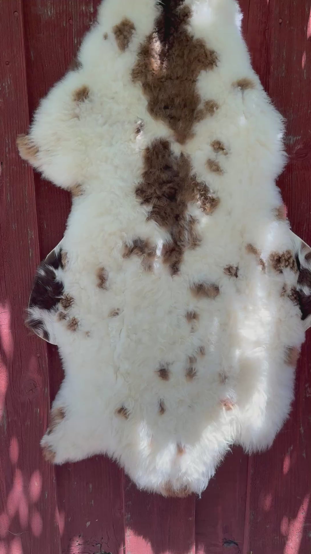 Short Wool Sheepskin N067 - 47" Natural White with Brown