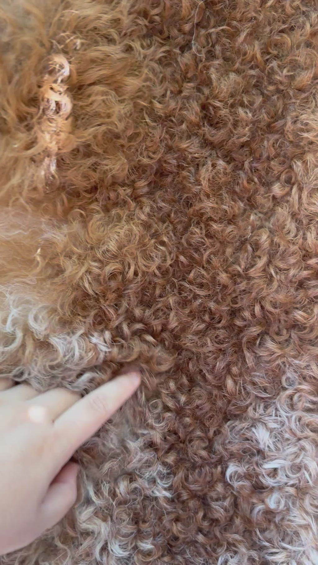 Light Weight Curly Wool Sheepskin Rug N002 - 35