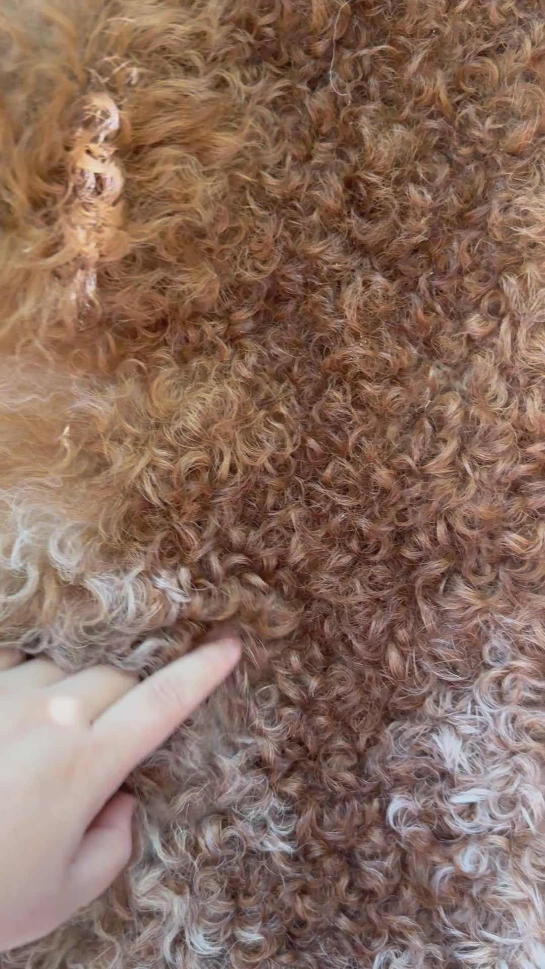 Light Weight Curly Wool Sheepskin Rug N002 - 35