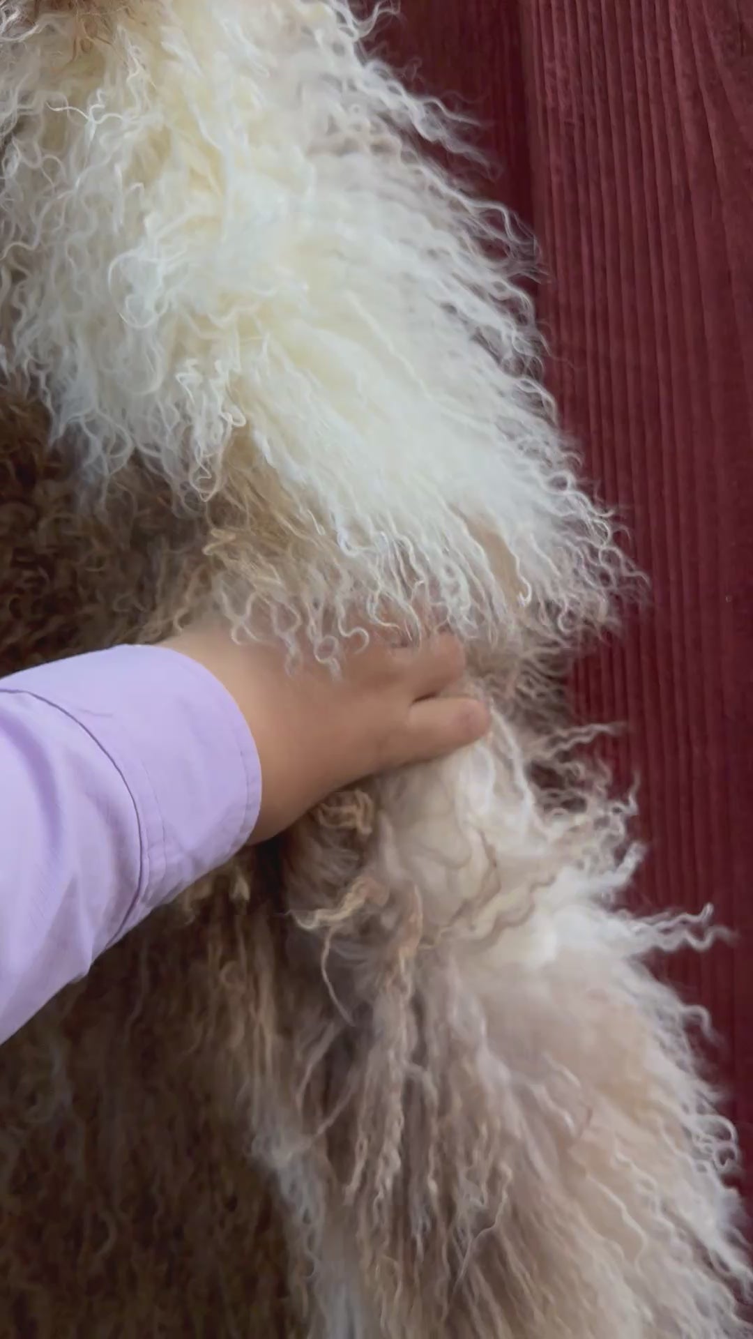 Natural Curly Wool Sheepskin Rug N910 - 38”