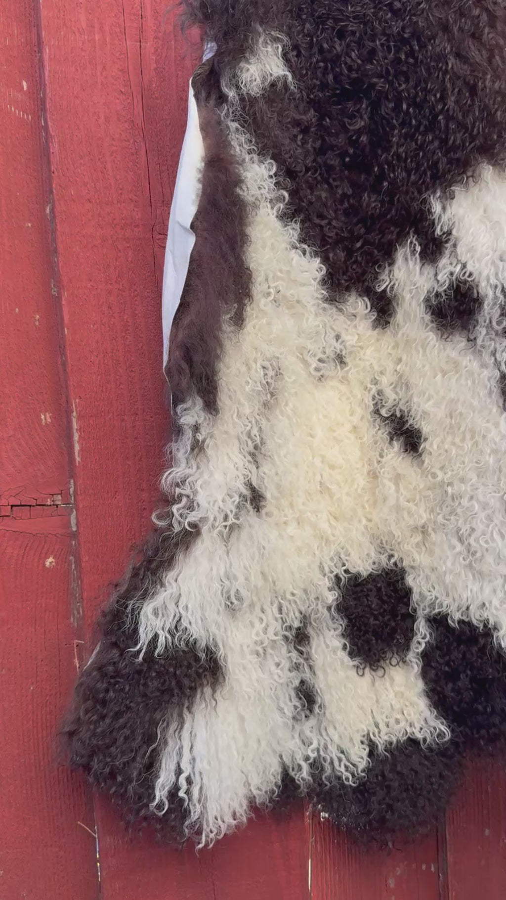 Long Wavy Wool Sheepskin - White with Dark Brown 37 x 21 in (#906)